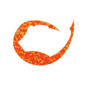 _C gVRlN^CpfVɌ M (S[hbVIW) 3 REKVRlN^CpfVSNAcM(S[hbVIW) DAIWA ^ColN^C