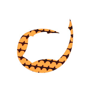 _C gVRlN^CpfVɌ M (IW) 3 REKVRlN^CpfVSNAcM(NVIWEXCc) DAIWA ^ColN^C