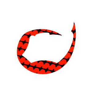 _C gVRlN^CpfVɌ L (IWZ) 2 REKVRlN^CpfVSNAcL(NVIWRCc) DAIWA ^ColN^C