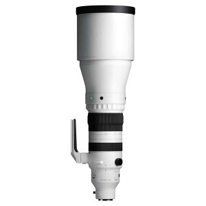 VO} 300-600mm F4 DG OS 300-600MMF4DGOSSE \j[FE}EgpYitTCY~[XΉj