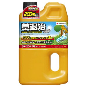 ގV[Ch 2L KINCHO| NT^CWV-Ch2L