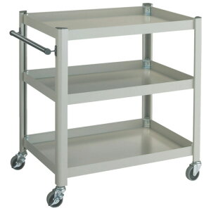 gXRR Rrl[VS 643×427×H880 3i[iƓws][J[i(ꌧE͂ΏۊO) TCW-81A2 TRUSCO