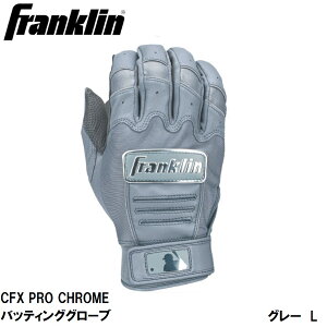 Franklin(tN) CFX PRO CHROME obeBOO[u GRAY/SILVER iTCYFL) 20597L(FRANKLIN) tN