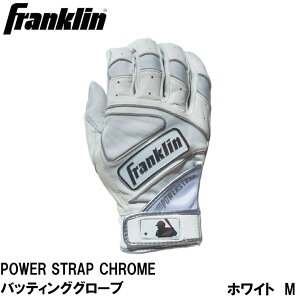 Franklin(tN) POWER STRAP CHROME obeBOO[u WHITE/SILVER iTCYFM) 20491M tN