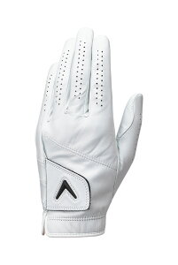 cA[ I[ZeBbN O[u 25 JV [p]