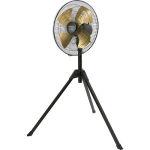 gXRR SDC[^[H 45cm X^h^Cv DF-45S WFlt@ DCȃGl HƐ Ɩp@ [DF45SgXR]