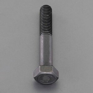 �G�X�R M10×120mm (�����x�E������) �Z�p�{���g(1��) EA949JC-1120A ESCO