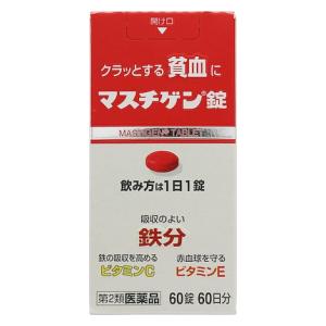 第2類医薬品 マスチゲン錠 60錠 返品種別B 直営ストア 日本臓器製薬 マスチゲンジヨウ60T 評価