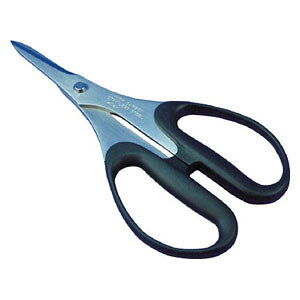 gXRR n[h͂݁@v[@166×86×9mm TH132