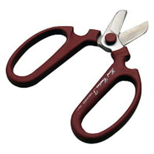 ⌹ nhNG[V XeCg #146