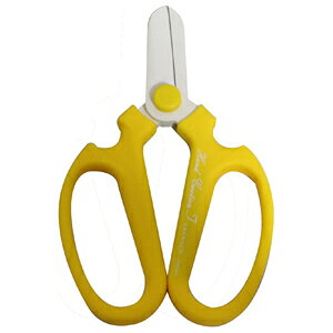 ⌹ nhNG[VFL[g   #359