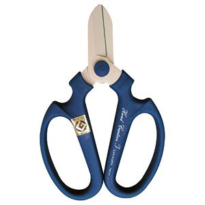 ⌹ nhNG[VF170u[ BP #70352