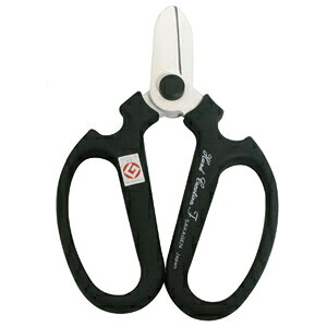 ⌹ nhNG[VF170XO[  #90142 F170