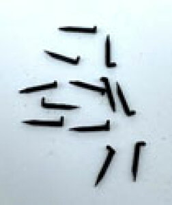 mS͌^nfACR 905F [XpCNiBjKWЋKi