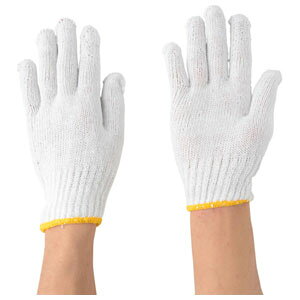 쐼H aRNT450 t[TCY (12o) 2942