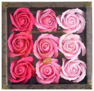 BACKYARD FAMILY(�o�b�N���[�h�t�@�~���[) �t���O�����X�i���[�Y�s���N�j ROSEFRAGRANCE-1A-2C [ROSEFRAGRANCE1A2C]