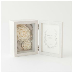 aplus(AvX) \t[ tHgt[ gXyAgMii`j APTRANSPARENTM-1A-2D [APTRANSPARENTM1A2D]