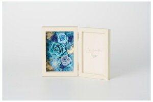 Petit Jardin(�v�`�W�����_��) Petit Jardin �v�`�W�����_�� �t�H�g�t���[���i�N���[��/�u���[�j APPETITJARDIN-1A-2G [APPETITJARDIN1A2G]