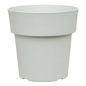 ACR|bg21^ zCg avX`bN ACR|cg21K^ W