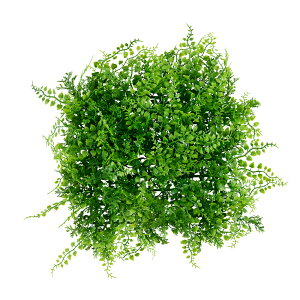 ACXI[} DECO GREEN EH[pl 4ZbgiAWA^j WG-50AAWA^ IRIS [WG50AAWA^]