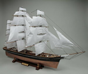 EbfBW[ 1/80 JeBT[Nitj ؐgLbg