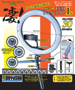 F yĐYzIzr[p LEDOCg L Bec[