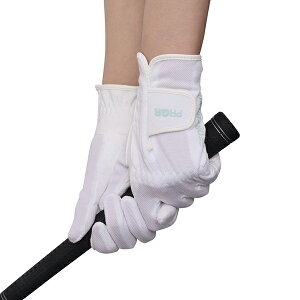 vMA fB[X St O[u hCnh pizCgETCYF20cmj GG585020 PRGR DH-253LW