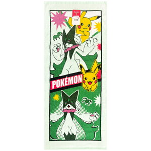 (Hayashi) tFCX^I |Pi34×80cmj FP408100 u|Pṽ^IV[Y [FP408100]