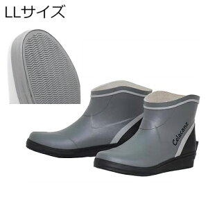 GNZ V[gfbLu[c LLTCY/26.0`27.0cmiO[j LFC-264/LL Celacanz fbLV[Y