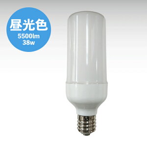 ���{�O���[�o���Ɩ� ��Ɨp�@��^LED�d�� 5500lm(����) �y�����T�C�Y�FE39�z FTW40-DSE39 [FTW40DSE39]