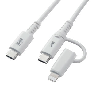 TTvC USB2.0 Type-CP[uiLightningϊA_v^tEzCgj KB-IPLTCCP6010W