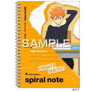 qTS nCL[II XpCm[giA6TCYj/ėz HH4621