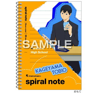 qTS nCL[II XpCm[giA6TCYj/eRY HH4622