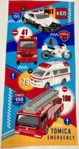 (Hayashi) oX^I g~J oX(60×120cm) BP430900 ug~Jṽ^IV[Y [BP430900]