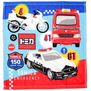 (Hayashi) EHbV^I g~J oX(34×35cm) WP430900 ug~Jṽ^IV[Y [WP430900]