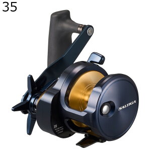 _C 25 \eBK 35 Enh 25\eBK35 DAIWA 25 SALTIGA WMO[