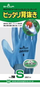 V[O[u sb^w u[ STCY NO260SB ׂ~ߎ