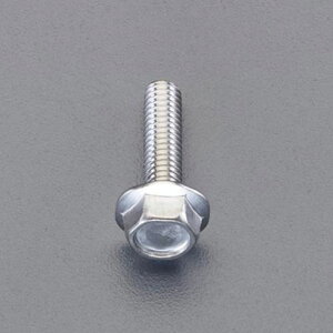 �G�X�R M6×40mm �t�����W�{���g2��(�X�e�����X/6�{) EA949ZF-70 ESCO