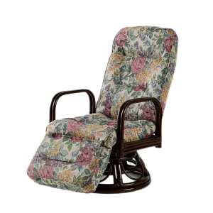 �I�r�^�X ���^���t�b�g�t ���N���C�j���O���֎q�n�C �ԕ����n�i�u���E�����ԕ��j OTK-623FL-OVITAS ��]�� [OTK623FLOVITAS]