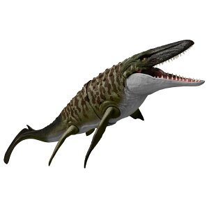 }e WVbNE[h ogANV TTEX