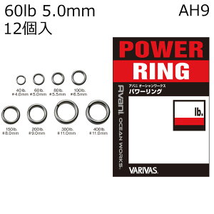 �o���o�X �A�o�j �I�[�V�������[�N�X �p���[�����O 60lb 5.0mm (12��) �A�o�j�I�[�V�������[�N�X�p���[�����O60lb VARIVAS �X�v���b�g�����O AH9