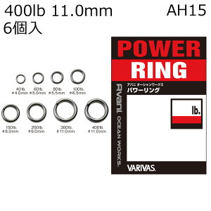 �o���o�X �A�o�j �I�[�V�������[�N�X �p���[�����O 400lb 11.0mm (6��) �A�o�j�I�[�V�������[�N�X�p���[�����O400lb VARIVAS �X�v���b�g�����O AH15