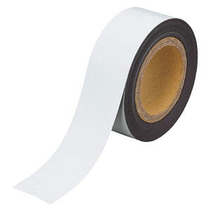 gXRR }Olbg˃V[g@100mmX10miVo[j TMGH1010SV