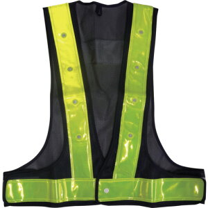 ~YPC LEDSxXg(nE) 5916505 ~YPC