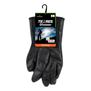 V[O[u eX 01 EC^[ (LTCY) eX01EC^[(LTCY) SHOWA TEMRES 01winter hO[u hO[u