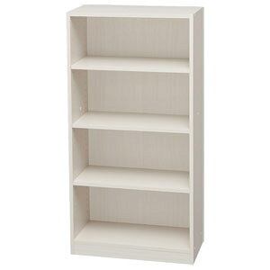 ACXI[} Xy[XtBbgbN 60×120cmiItzCgj S-SFR1260(ItzCg) IRIS [SSFR1260ItzCg]