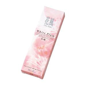 ������ �ԕ� ���~ ���o���l�^�C�v ��54g �ԕ� ���{���� 27432 �J�t�E�V