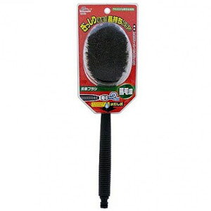 R[ Spa Plus ԃuV nэ CS50