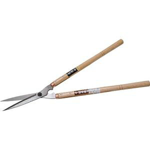 hEJ A؉@@@Ɩړ 123 nT~