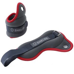 V[Y \tgXgEGCgi0.5kg×2jbh SWW-05-2(RE) SHIELDS [SWW052RE]